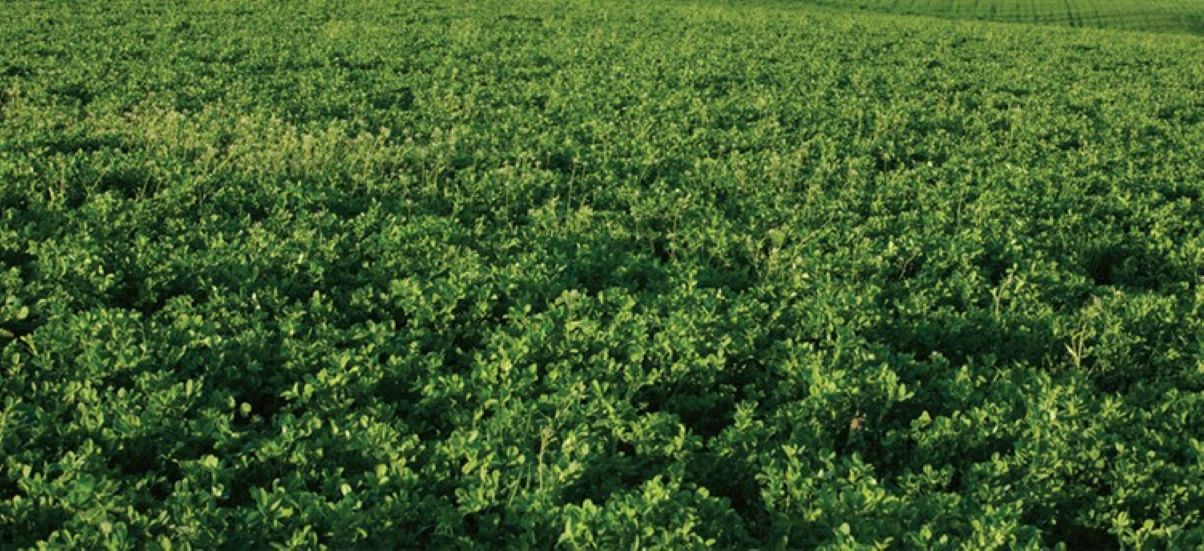 Άμεση στήριξη των