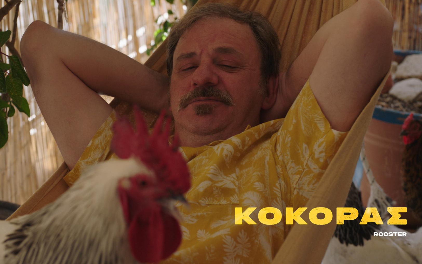 Τάσος Γερακίνης: Ο Κόκορας