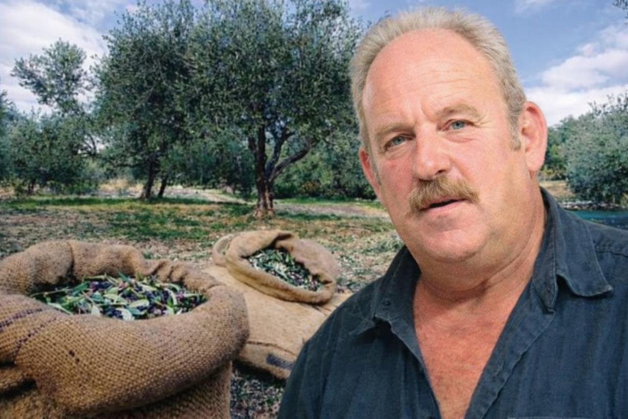 Υποχρεωτικό το ελαιοκομικό