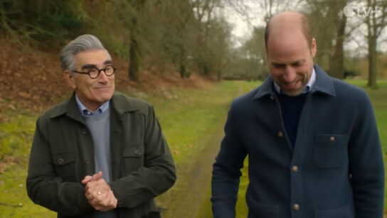 Πρίγκιπας William: Εμφάνιση