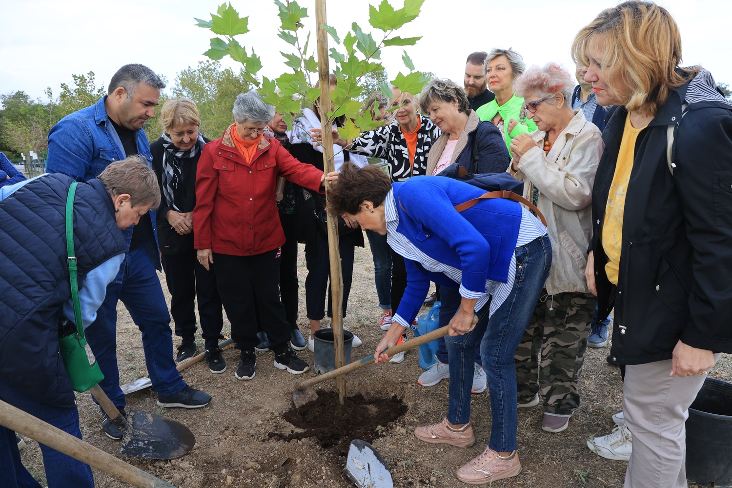 Δήμος Λαρισαίων: Δράση