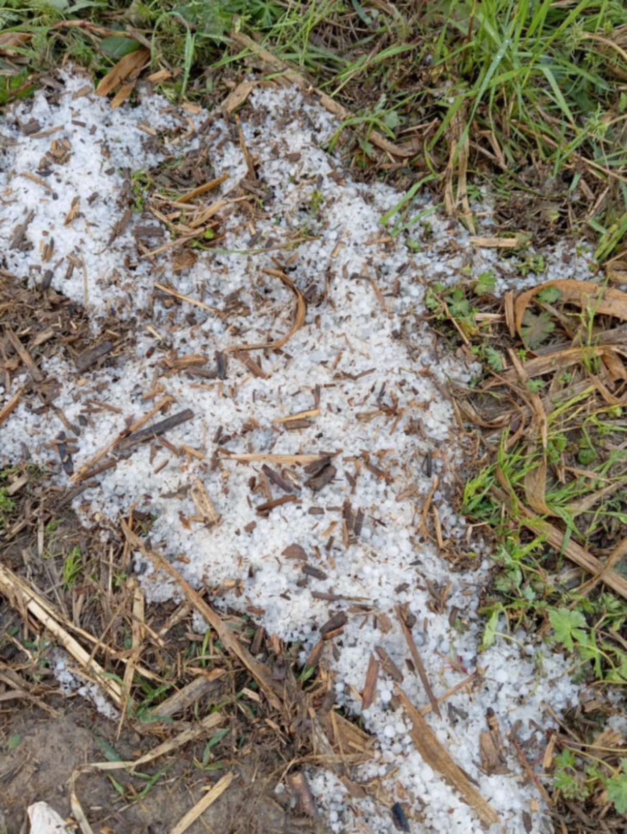 Σφοδρή χαλαζόπτωση έπληξε