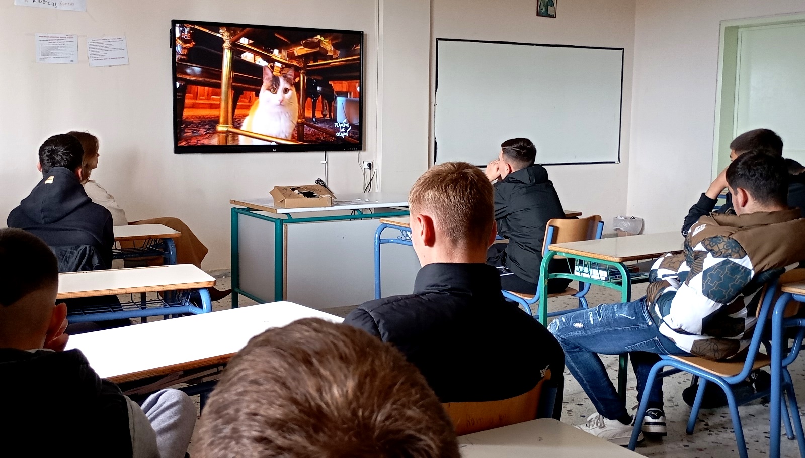 Πανελλήνια σχολική ημέρα