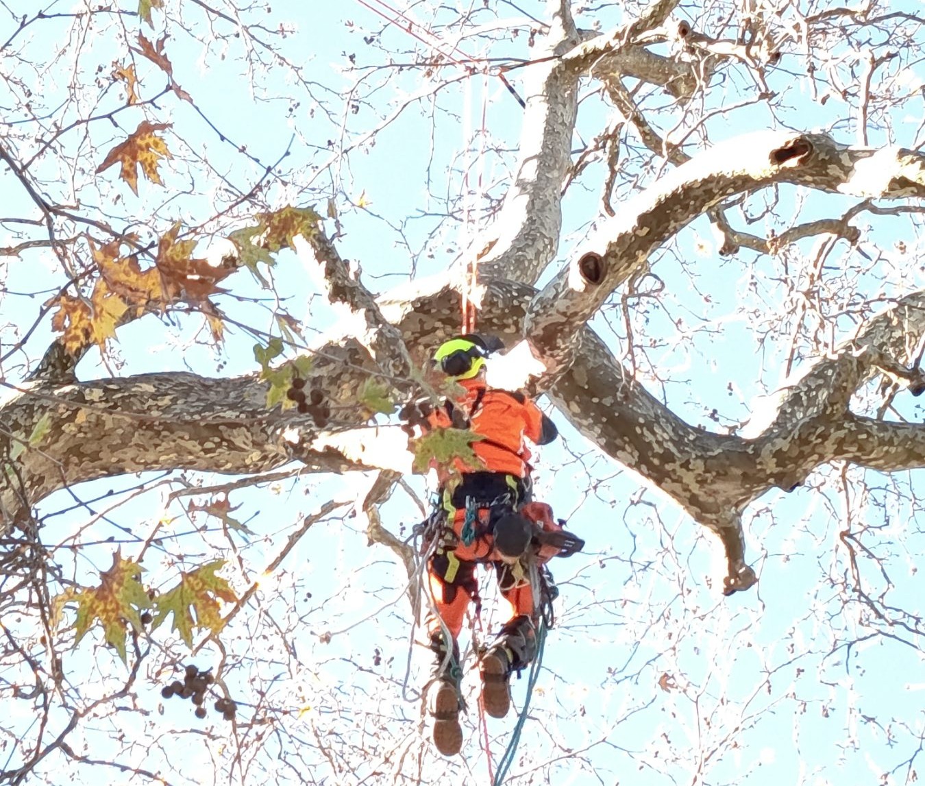 Δήμος Αργιθέας: Παρέμβαση