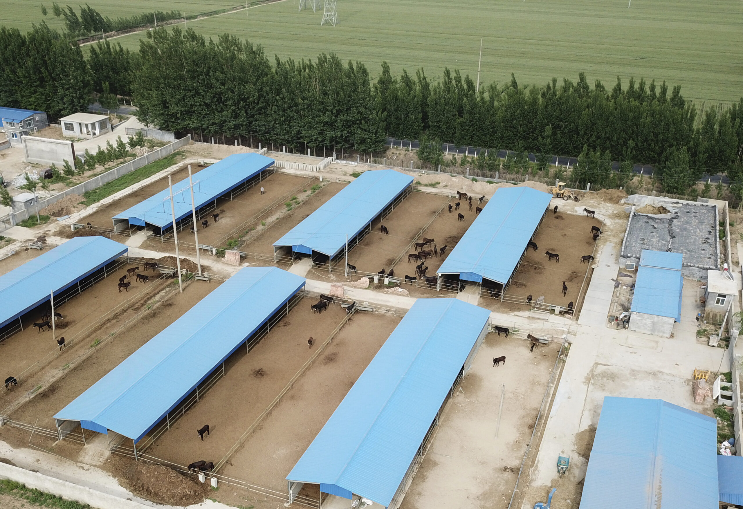 Εκσυγχρονισμό του πλαισίου