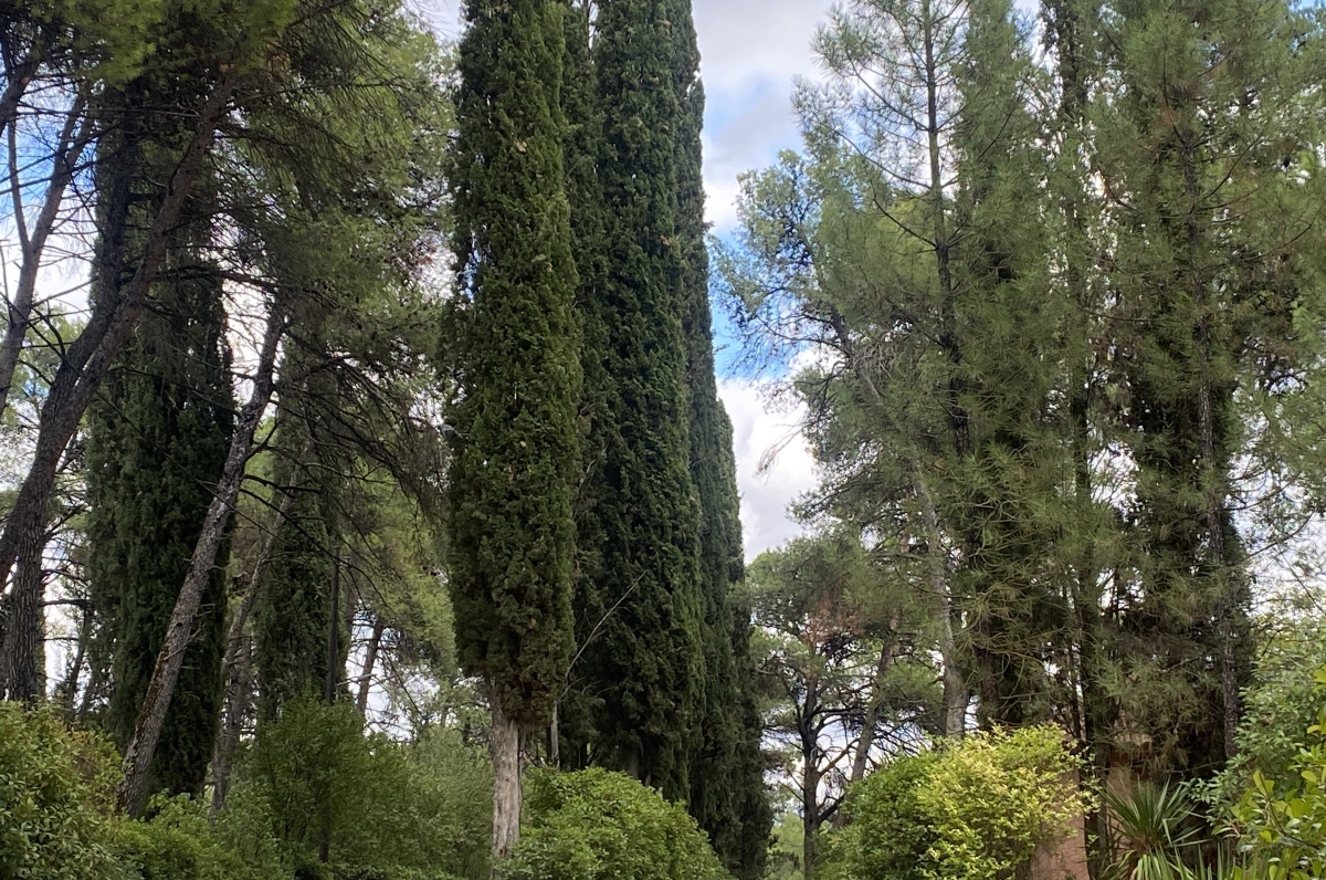 Επιστημονική διημερίδα για