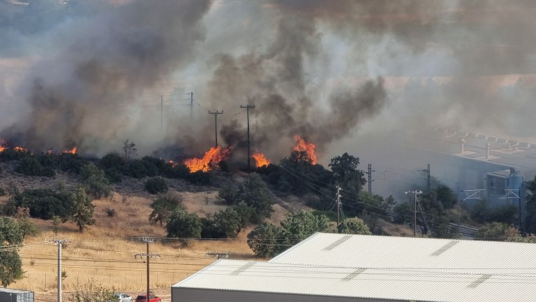Φωτιά στα Οινόφυτα