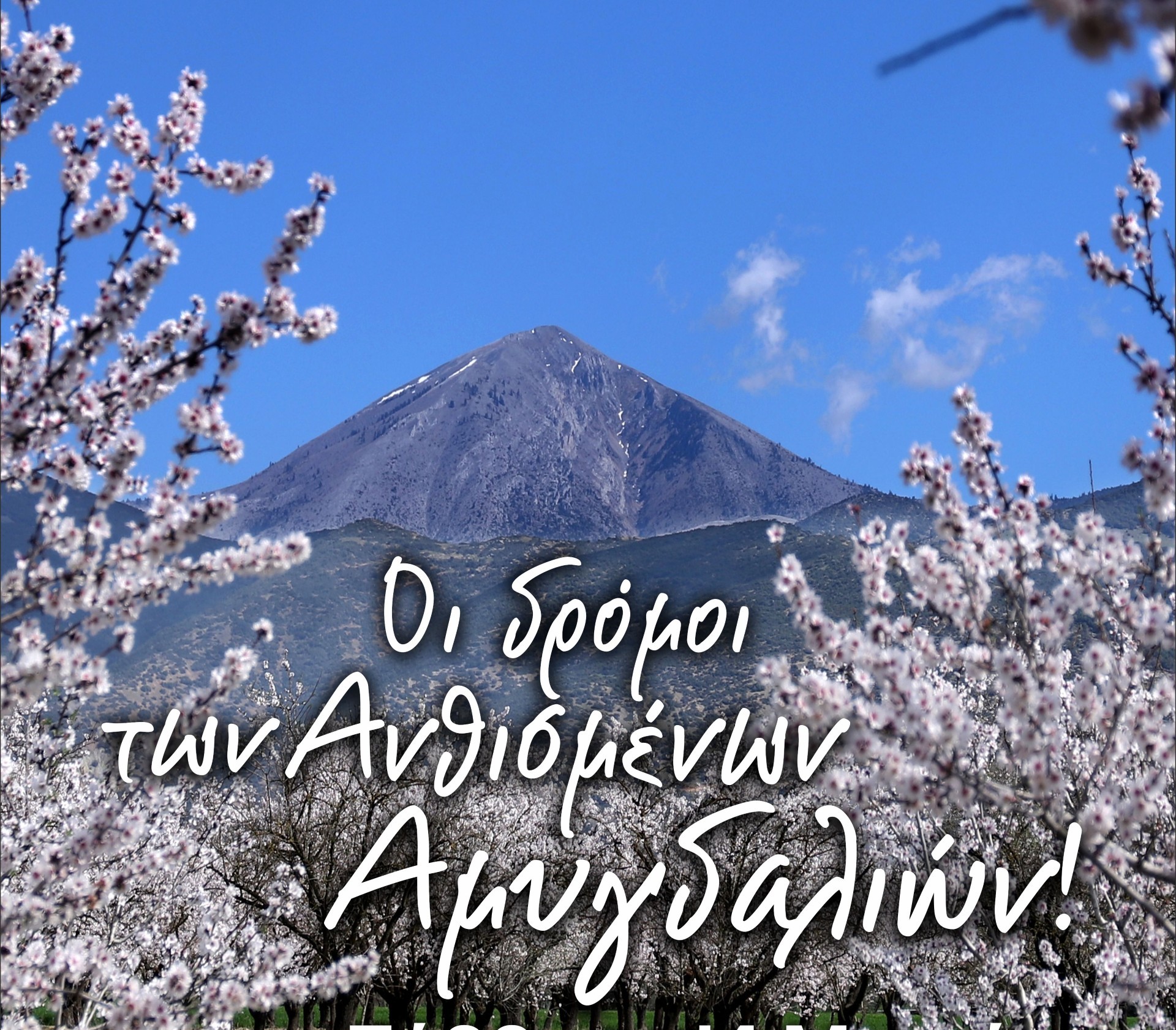 Δήμος Τεμπών: Εκδήλωση στους δρόμους των ανθισμένων αμυγδαλιών