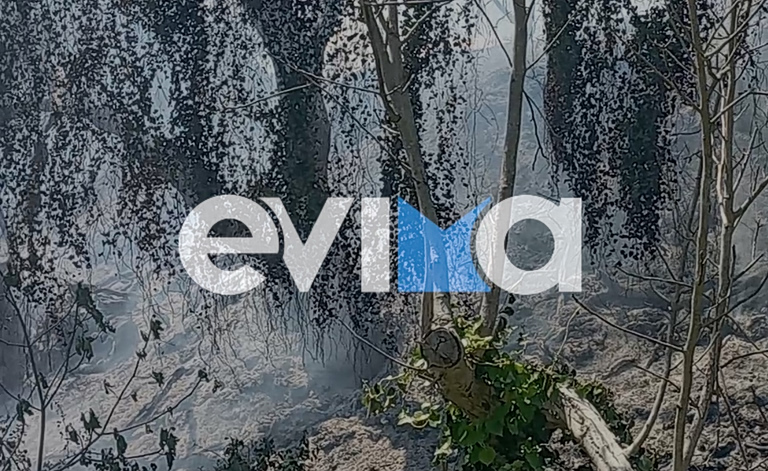 Εύβοια: Συνελήφθη 56χρονος