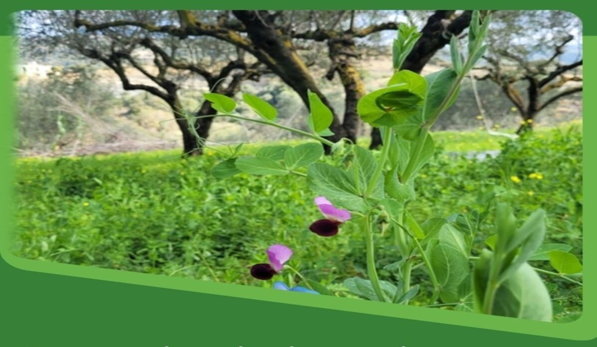 Υπ. Αγροτικής Ανάπτυξης: