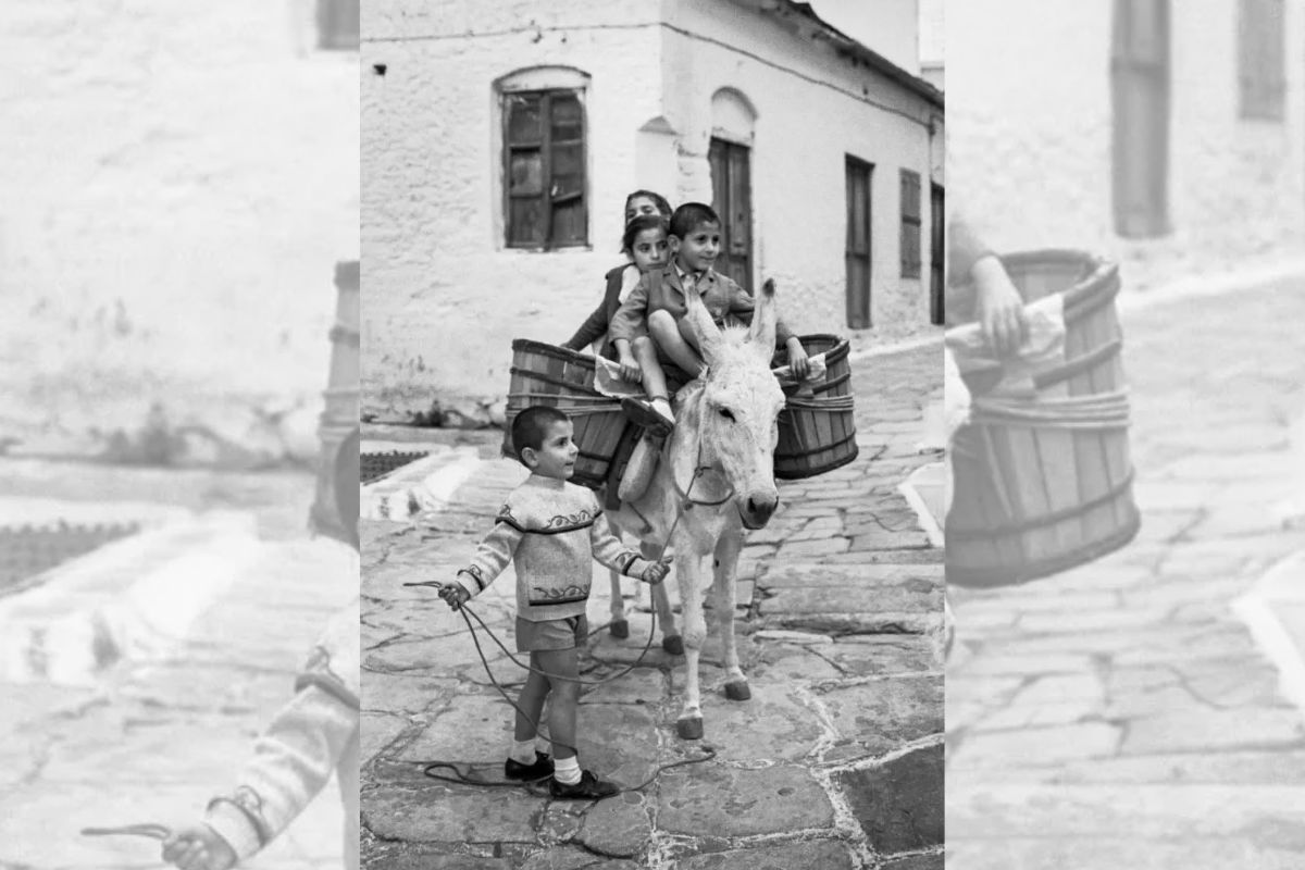 Το Πάρκο Πάρου παρουσιάζει