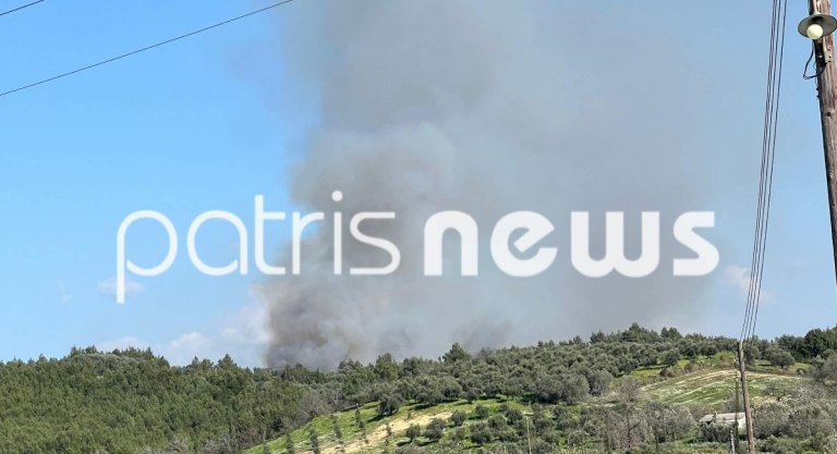 Πύργος: Φωτιά σε δασική έκταση στην περιοχή Βυτιναίικα