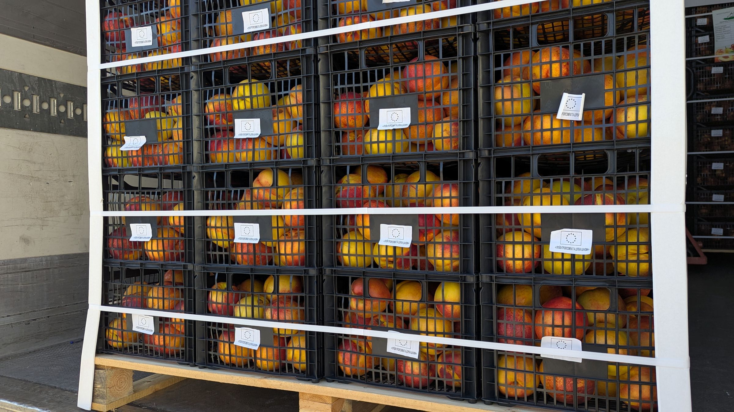 Λάρισα: Διανομή φρούτων σε