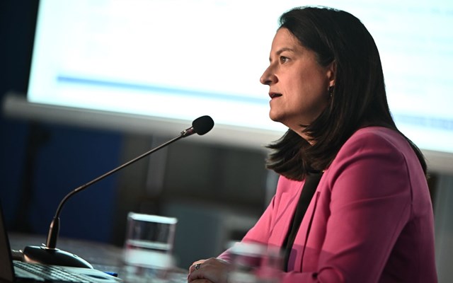 Ν. Κεραμέως: Ριζική