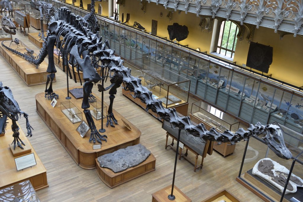 Παρίσι: Κλάπηκε χρυσός