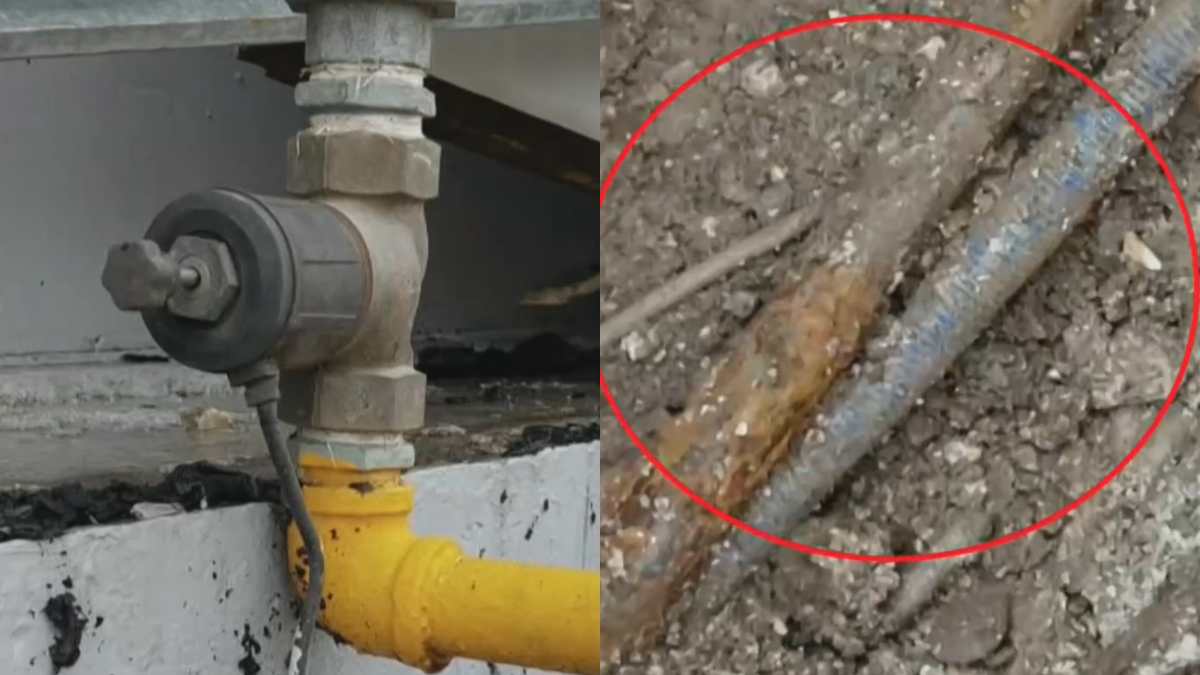 Βιολάντα: Την Τρίτη η