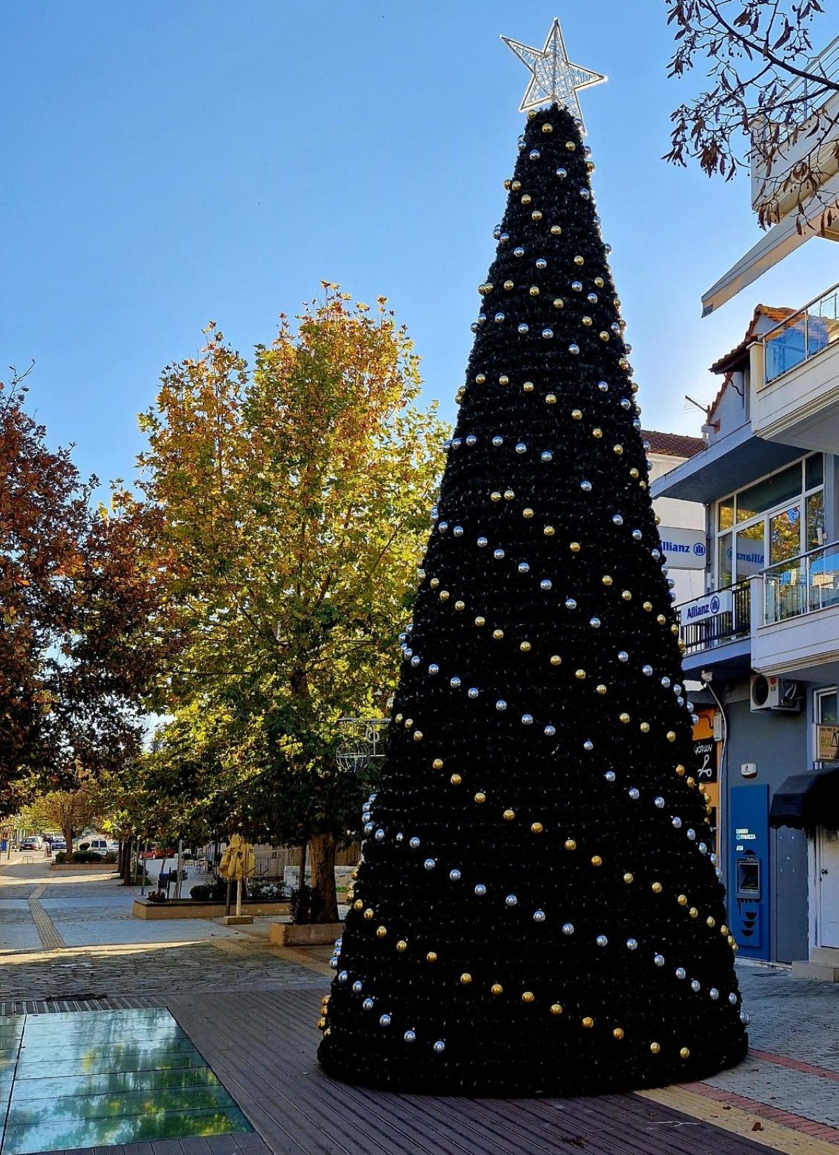 Δήμος Ρήγα Φεραίου: