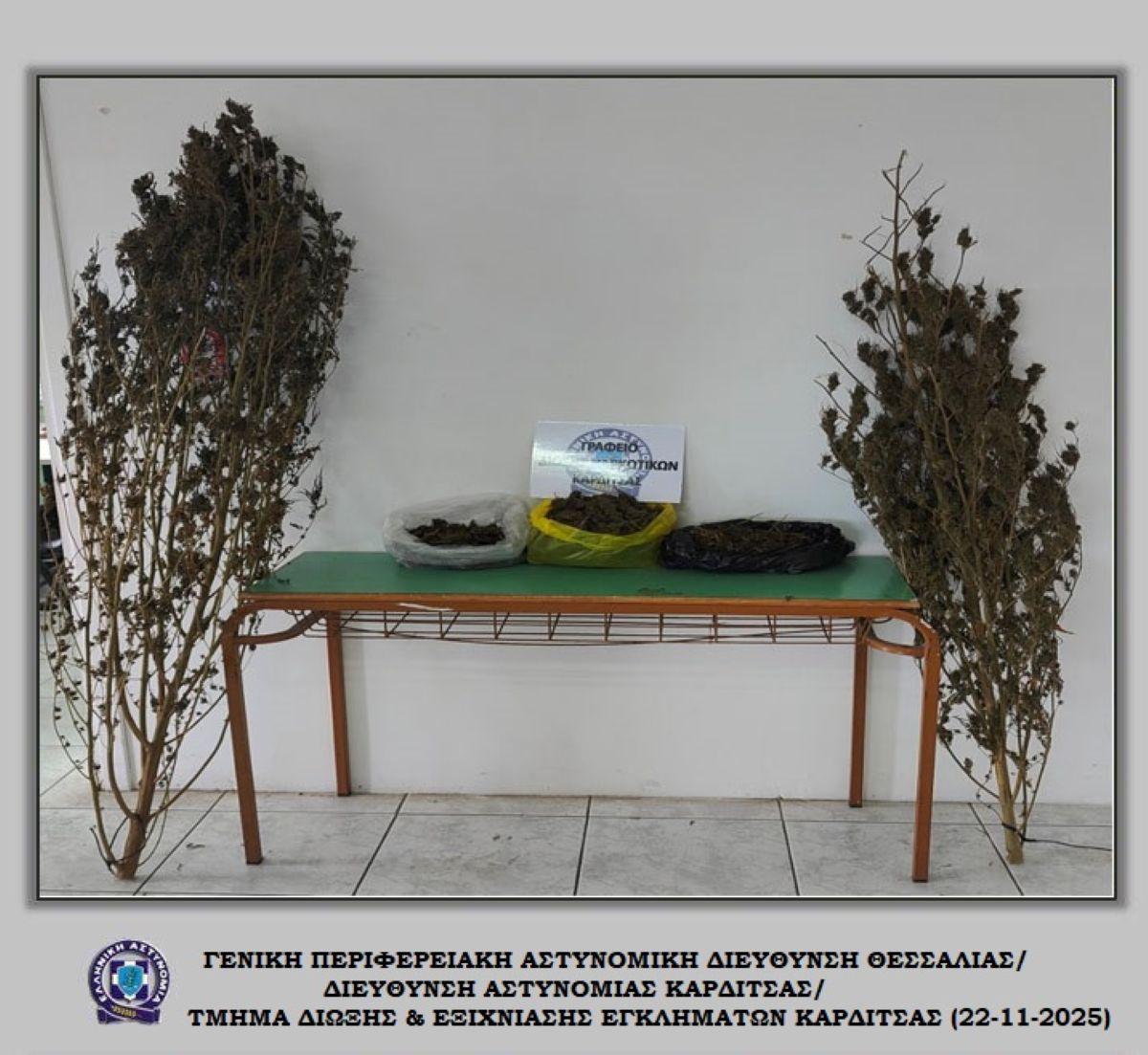 Σύλληψη στον Παλαμά