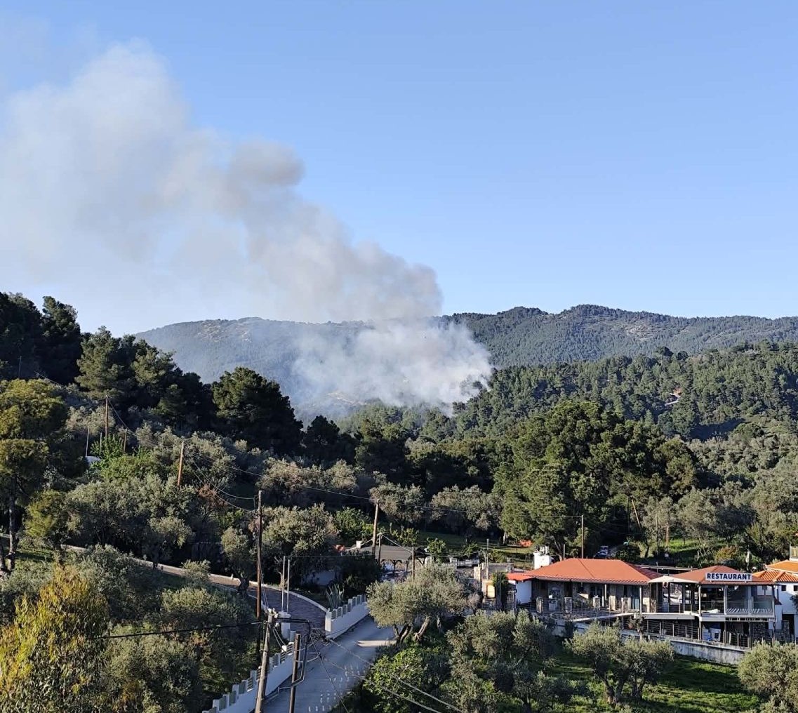 Στάχτη 15 στρέμματα