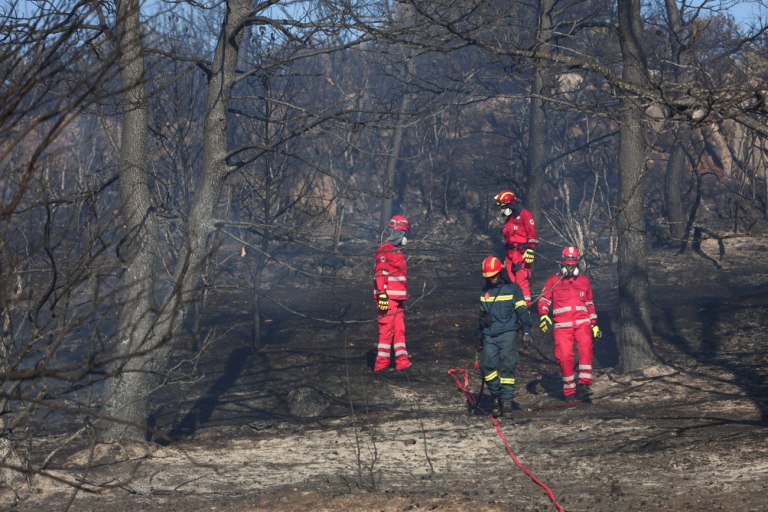 Νωρίς νωρίς άρχισαν φέτος οι φωτιές