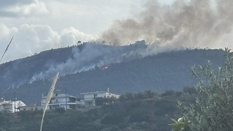 Συνελήφθη 51χρονος για την