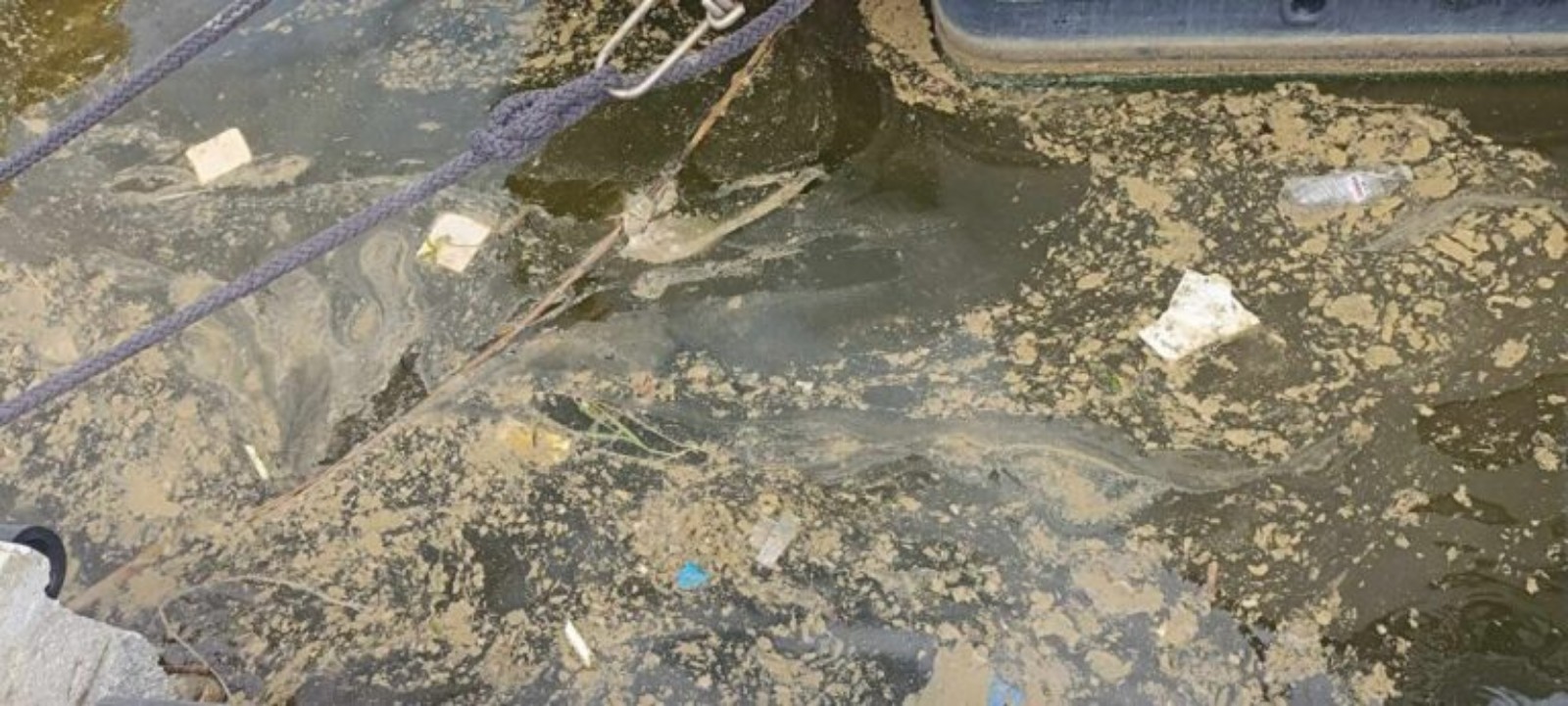 Στ. Λημνιός: Απόδοση