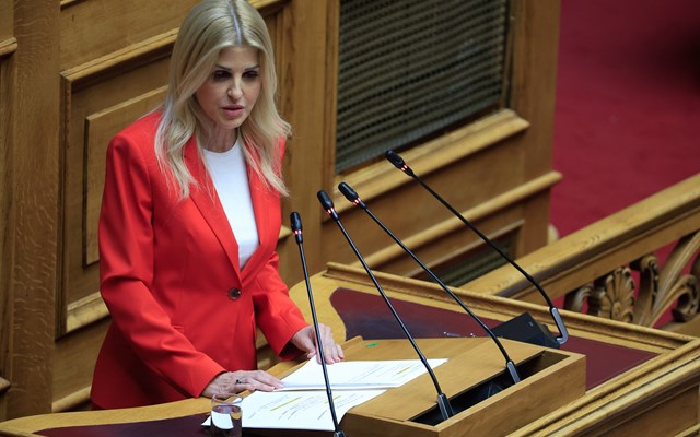 Ελ. Ράπτη: Η δημόσια