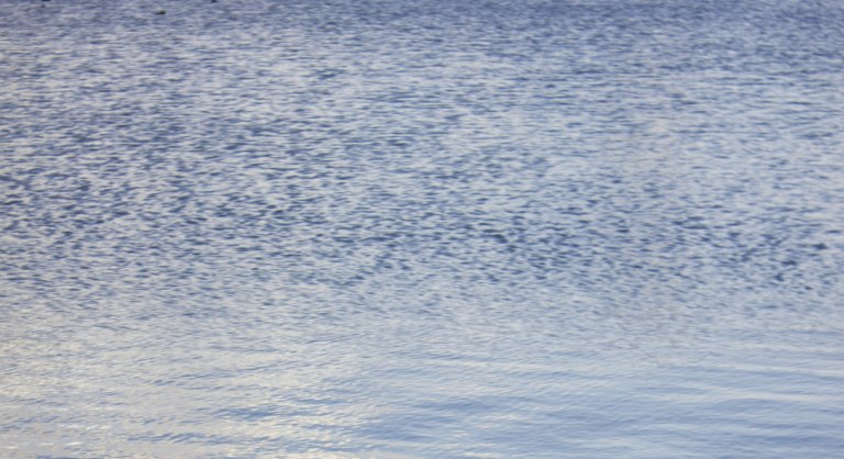 Νέο μακάβριο εύρημα στη Χαλκιδική: Ανθρώπινο κρανίο και οστά βρέθηκαν σε τεχνητή λίμνη ξενοδοχείου