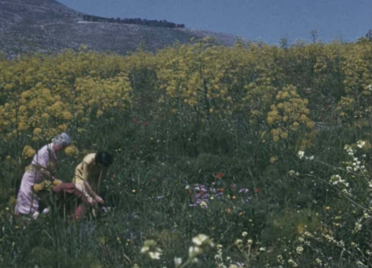 Ο Θεόδωρος Παναγόπουλος