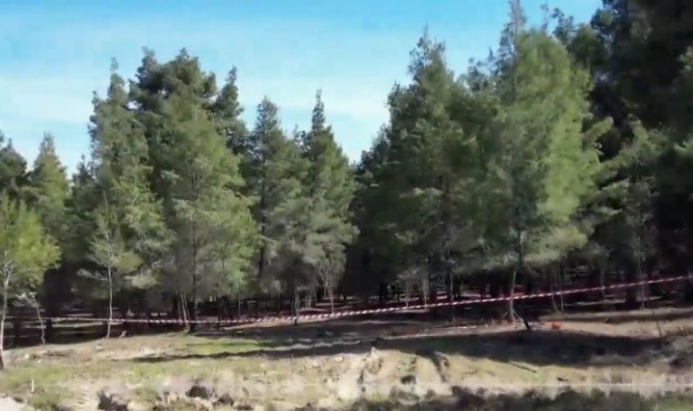 Χαλκιδική: Η γυναίκα της κόκκινης βαλίτσας μπορεί να είναι η κόρη μου  Τι λέει πατέρας αγνοούμενης