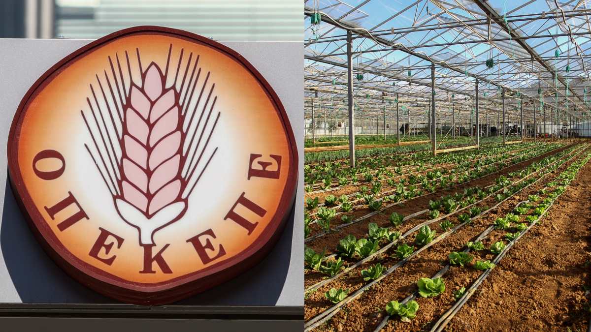 Σύσκεψη Χατζηδάκη Τσιάρα