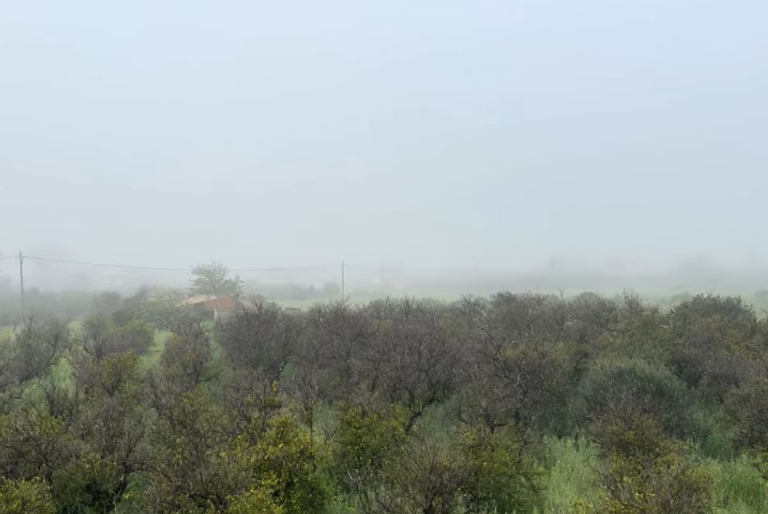 Σπάρτη: Εξαφανίστηκε ο