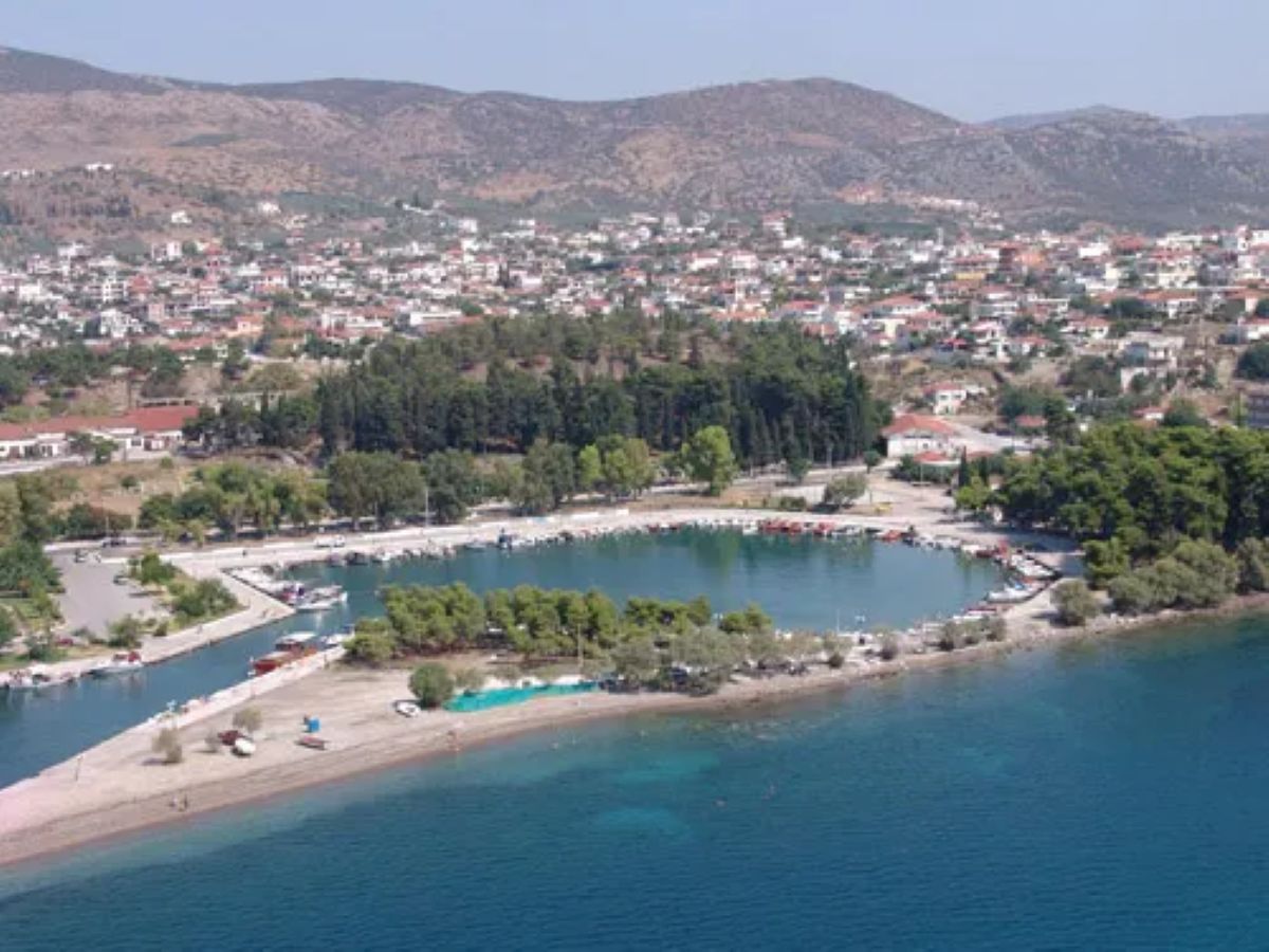 Αντιδράσεις για το