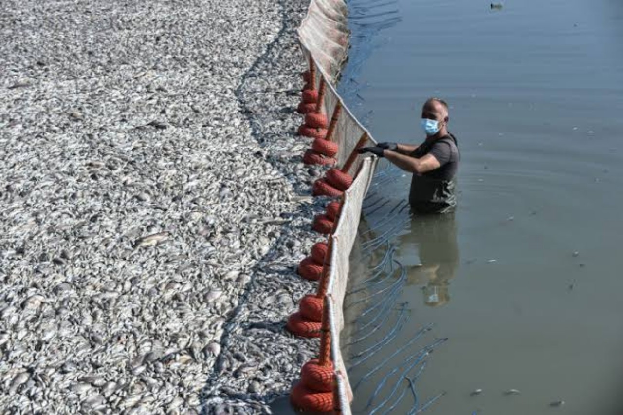 Σε εξέλιξη οι αιτήσεις για
