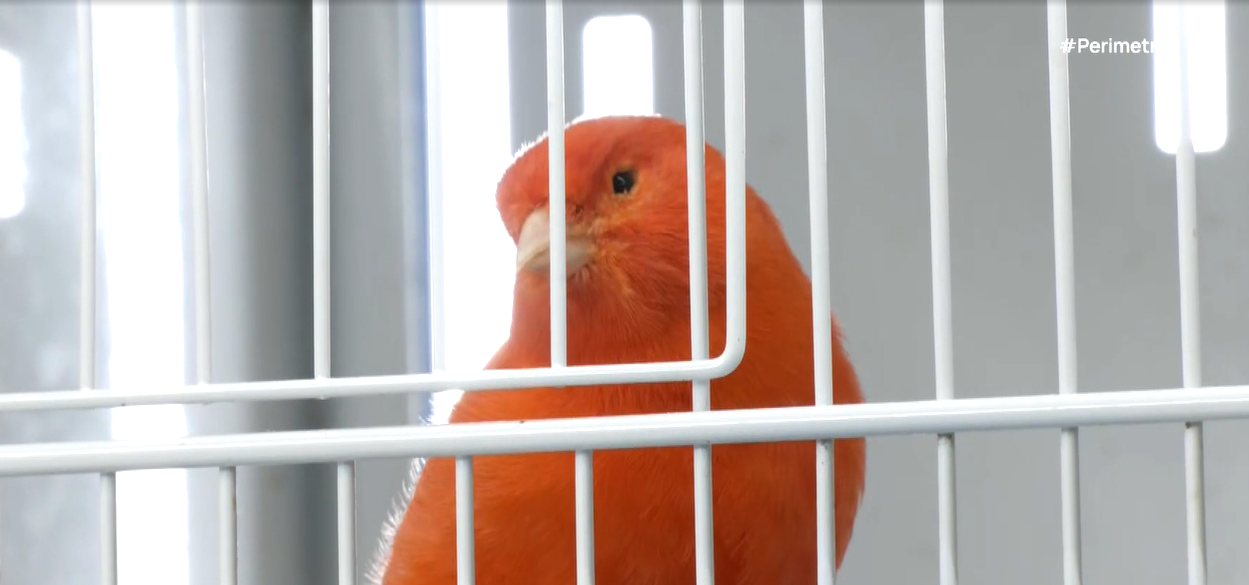 Τρίκαλα: Εντυπωσιακή