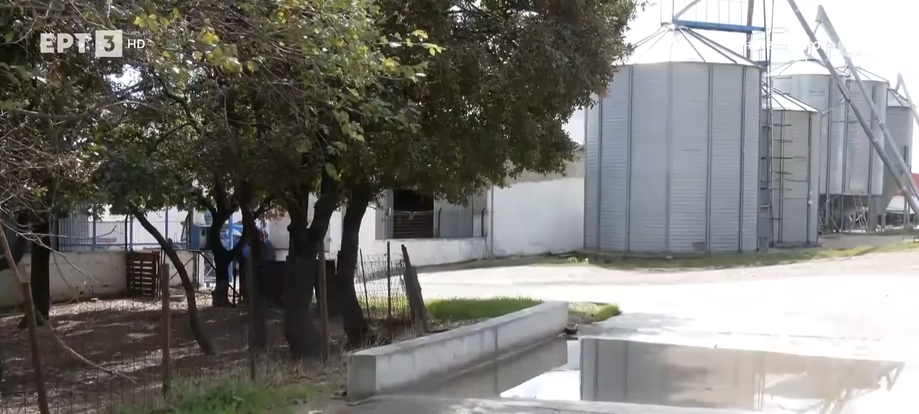 Κρούσματα ευλογιάς και σε