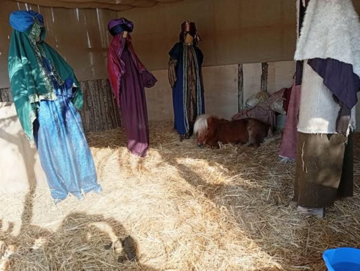 Καταγγελία για