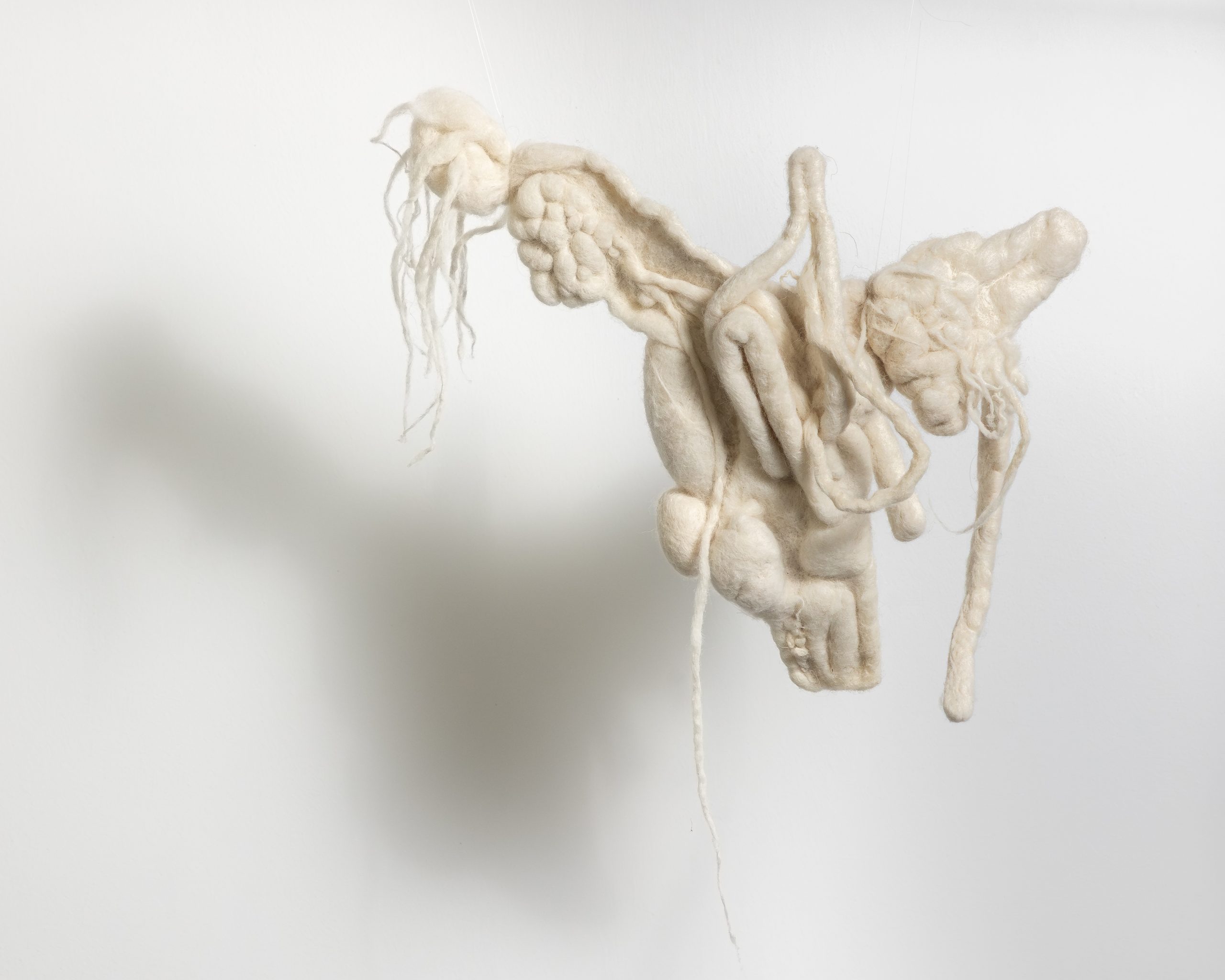 Παρειδωλίες της Κλειώς