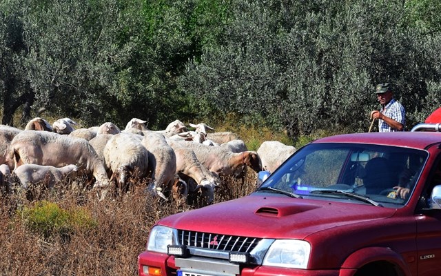 Νέα έκτακτη στήριξη 56 εκατ.