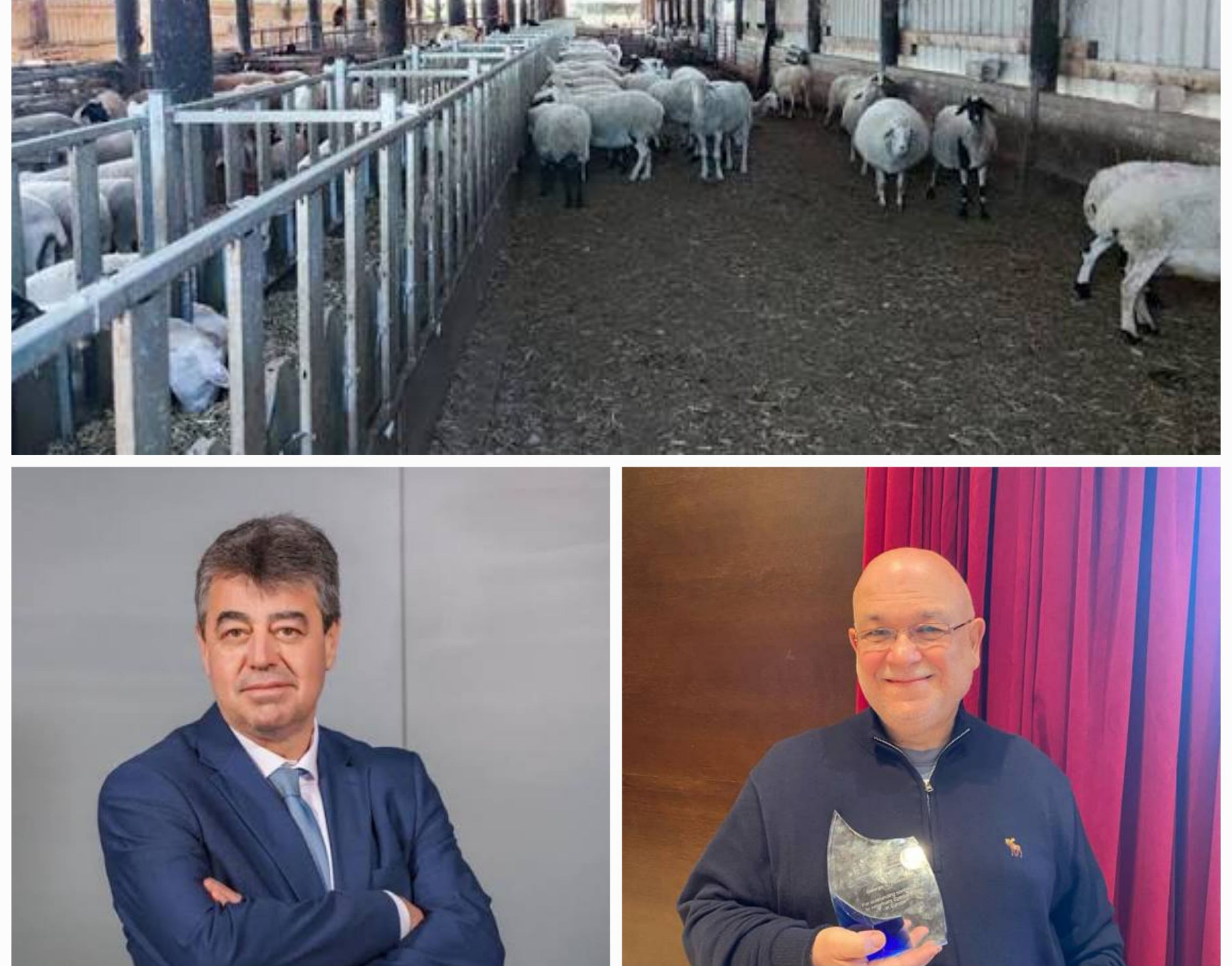 Επισημάνσεις καθηγητών του