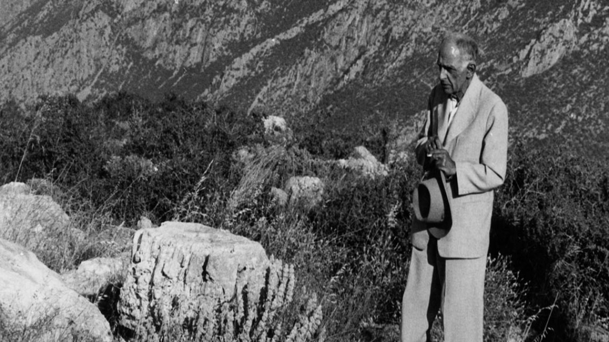 Δημήτρης Πικιώνης.