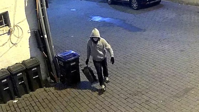 ΗΠΑ: Συνελήφθη άνδρας ως