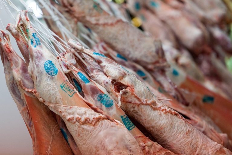 Λάρισα Αρ. Μεϊντής: