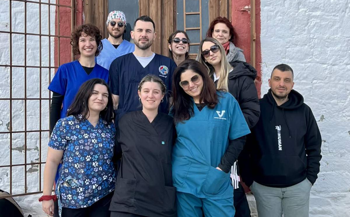 Τρίκερι: 110 στειρώσεις αδέσποτων γατών σε διήμερη εθελοντική δράση