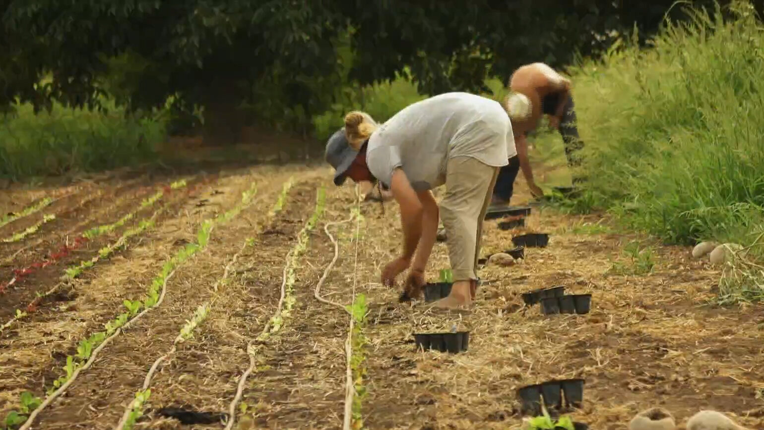 Συνέδριο Αειφορικής και