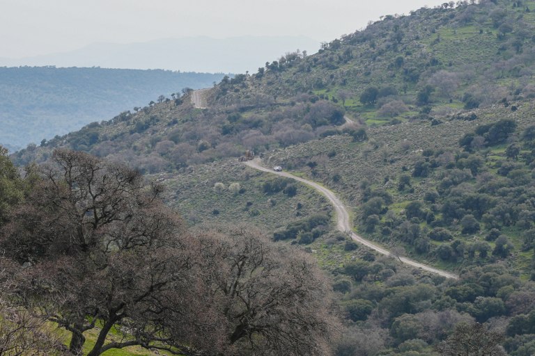 ΠΑΣΟΚ: Απέτυχε το υπουργείο Αγροτικής Ανάπτυξης  Η κυβέρνηση αφήνει απροστάτευτη την ελληνική κτηνοτροφία
