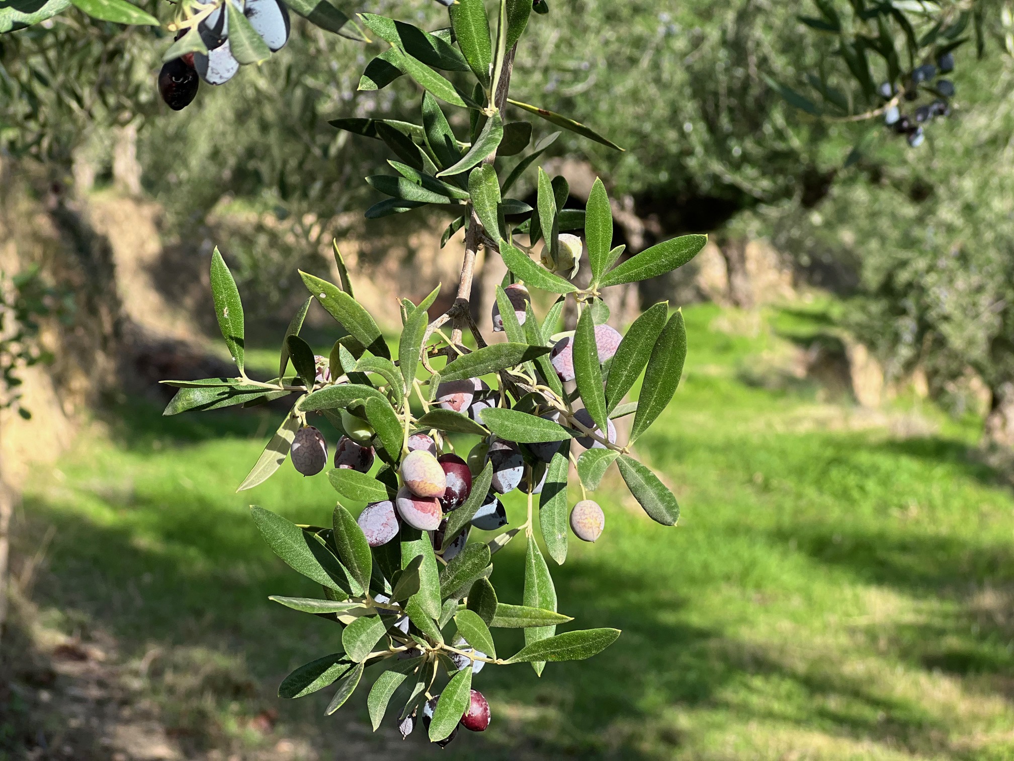 Αργά προχωράει το
