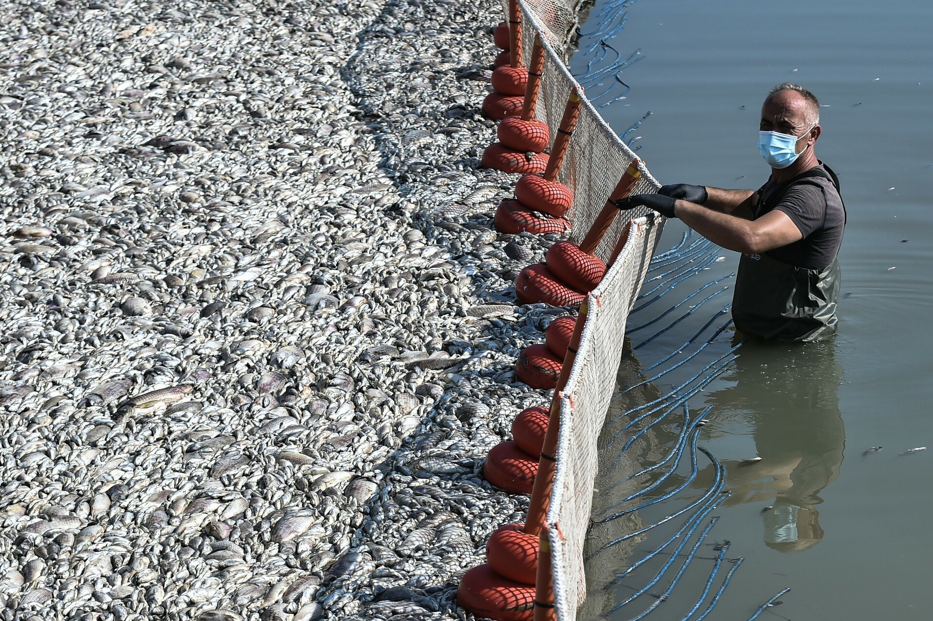 Κατατέθηκε η διάταξη για το
