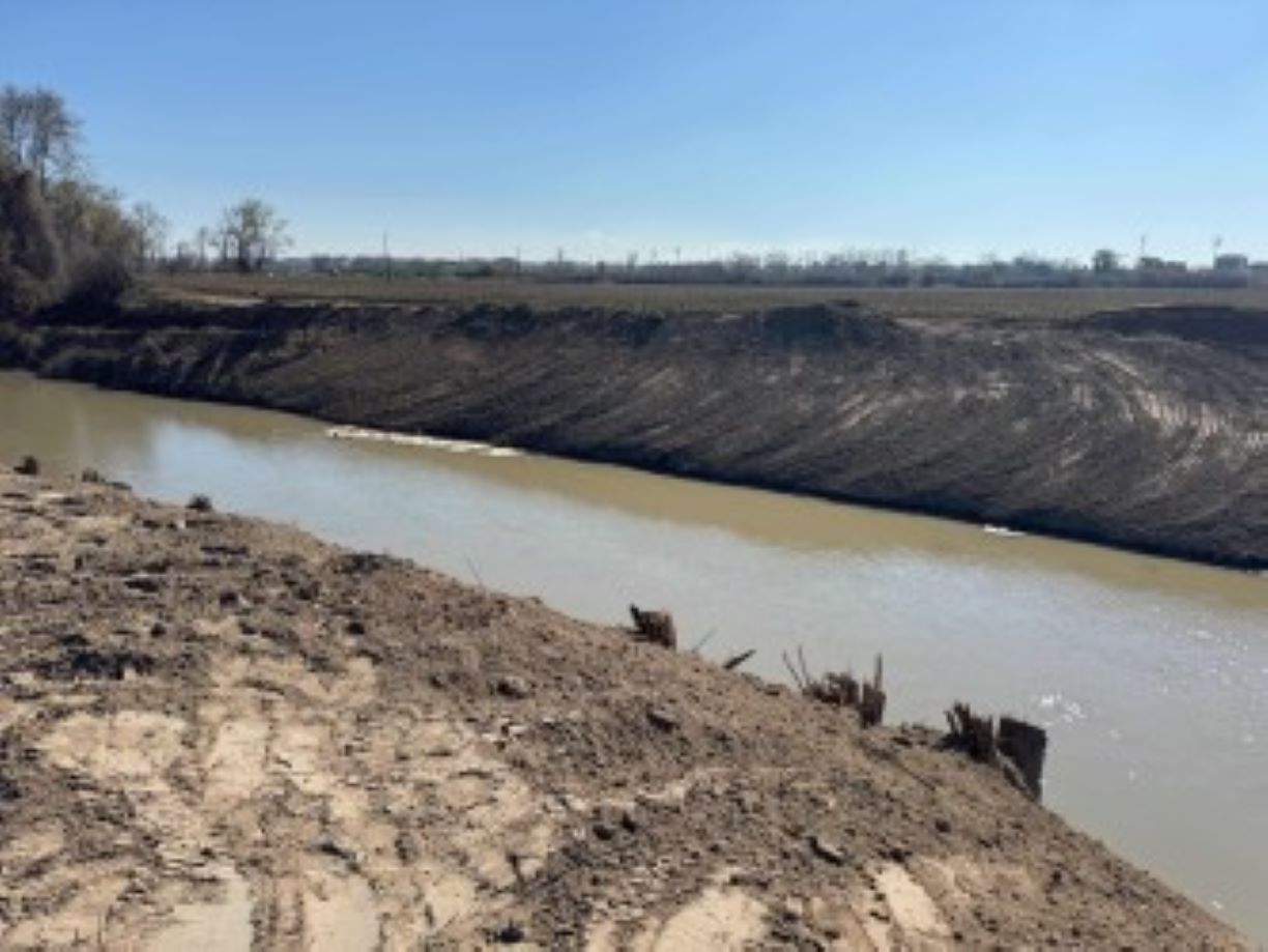 Σε πρώτο πλάνο η