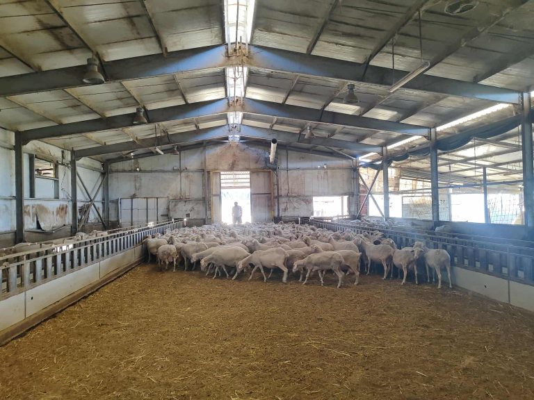 Άνοιξαν με αυστηρά μέτρα τα